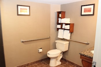 Room, 1 Double Bed, Accessible, Non Smoking