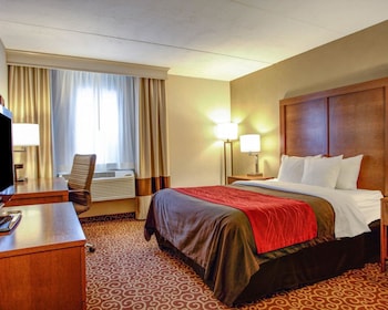 Standard Room, 1 King Bed with Sofa bed, Non Smoking