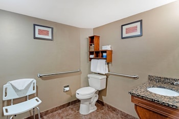 Room, 1 Double Bed, Accessible, Non Smoking
