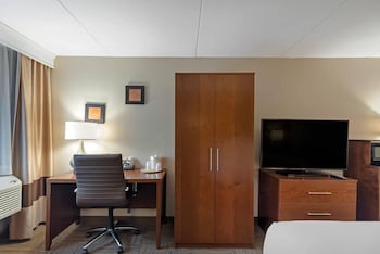 Standard Room, 1 King Bed with Sofa bed, Non Smoking