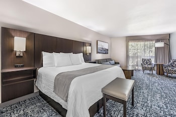 Standard Room, 1 King Bed, Non Smoking, Refrigerator & Microwave