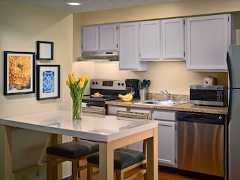 Studio Suite, 1 Queen Bed, Mobility Accessible, Fireplace (Shower)