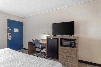 Room, 1 King Bed, Accessible, Non Smoking (Roll-in Shower)