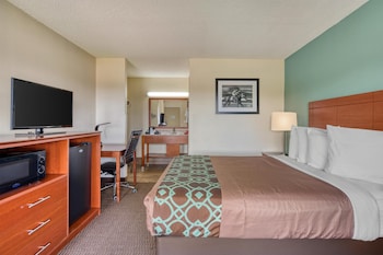 Standard Room, 1 Double Bed, Non Smoking, Refrigerator & Microwave