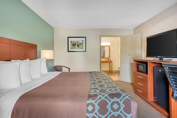 Standard Room, 1 King Bed, Accessible, Refrigerator & Microwave