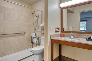Standard Room, 1 King Bed, Accessible, Refrigerator & Microwave