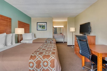Standard Room, 2 Double Beds, Non Smoking, Refrigerator & Microwave (Pet Friendly)