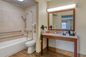 Standard Room, 2 Double Beds, Accessible, Refrigerator & Microwave