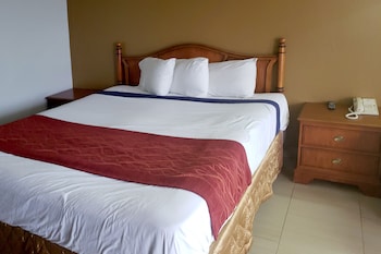 Room, 1 King Bed