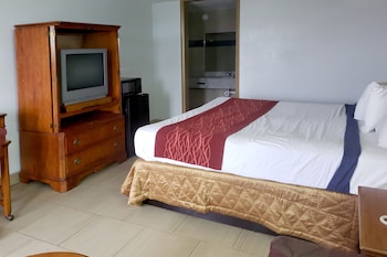 Room, 1 King Bed