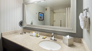 1 King Bed, Accessible, City View