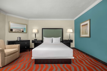 Room, 1 Queen Bed, Accessible (Roll-In Shower, Mobility & Hearing)