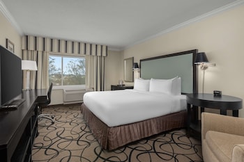 Room, 1 King Bed (Good Vibes)