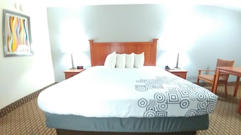Standard Room, 1 King Bed, Accessible, Bathtub