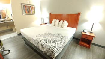 Standard Room, 1 King Bed, Smoking, Refrigerator & Microwave (Pet Friendly)
