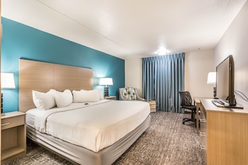 Studio Suite, 1 King Bed, Non Smoking
