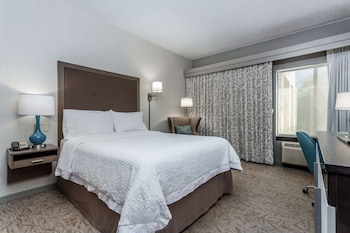 Room, 1 Queen Bed, Accessible, Bathtub (Hearing)