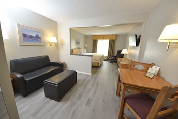 Studio Suite, 1 King Bed, Non Smoking