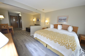 Studio Suite, 1 King Bed, Non Smoking