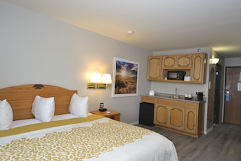 Room, 1 King Bed, Non Smoking