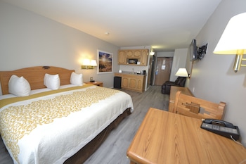 Room, 1 King Bed, Non Smoking