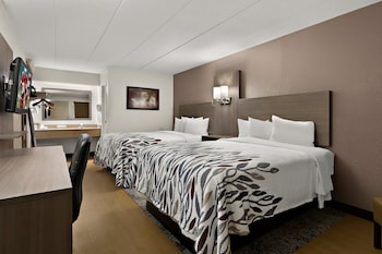 Standard Single Room, 2 Double Beds (Smoke Free)