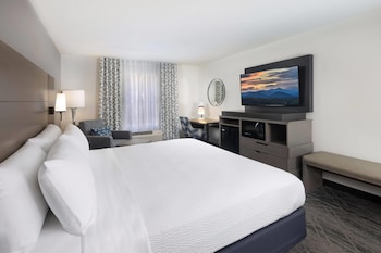 Room, 1 King Bed, Mobility Accessible, Non Smoking (Roll-In Shower)