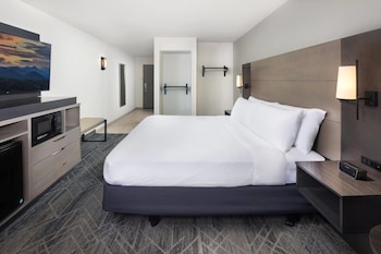 Room, 1 King Bed, Mobility Accessible, Non Smoking (Roll-In Shower)