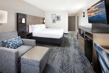 Room, 1 King Bed, Non Smoking