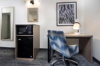 Room, 1 King Bed, Mobility Accessible, Non Smoking (Roll-In Shower)