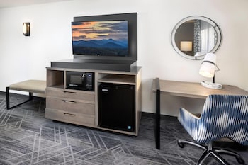 Room, 1 King Bed, Mobility Accessible, Non Smoking (Roll-In Shower)