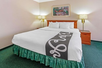 Room, 1 King Bed, Accessible, Non Smoking (Mobility Accessible)