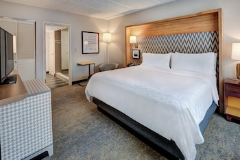 Suite, 1 King Bed with Sofa bed