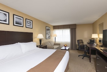 Standard Room, 1 King Bed with Sofa bed