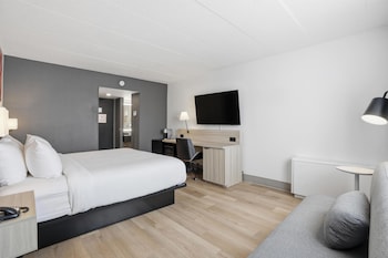 Standard Room, 1 Queen Bed, Accessible, Refrigerator & Microwave (Pet Friendly)