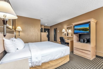 Standard Room, 1 Queen Bed, Non Smoking, Refrigerator & Microwave (Pet Friendly)