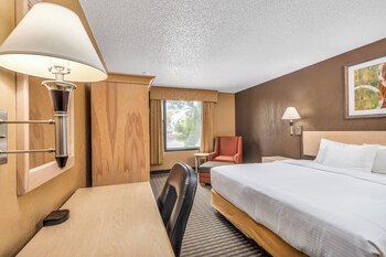 Standard Room, 1 Queen Bed, Accessible, Refrigerator & Microwave (Pet Friendly)