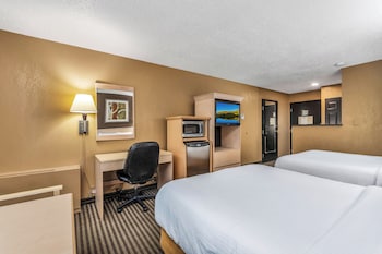 Standard Room, 2 Queen Beds, Accessible, Refrigerator & Microwave (Pet Friendly)