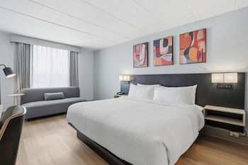 Standard Room, 1 King Bed, Non Smoking, Refrigerator & Microwave (Pet Friendly)