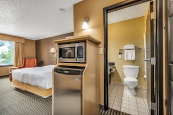 Standard Room, 1 Queen Bed
