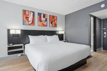 Standard Room, 1 King Bed, Non Smoking, Refrigerator & Microwave (Pet Friendly)