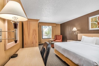 Standard Room, 1 King Bed, Non Smoking, Refrigerator & Microwave (Pet Friendly)