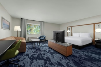 Executive Suite, 1 King Bed with Sofa bed
