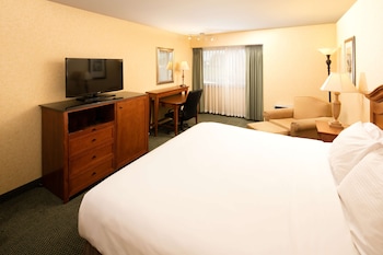 Room, 1 King Bed, Accessible
