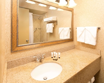 Room, 1 King Bed, Accessible