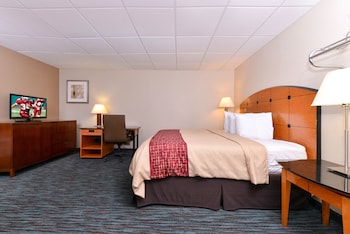 Business Room, 1 King Bed, Smoking