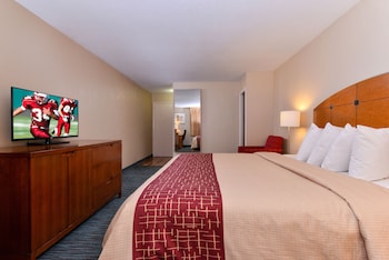 Business Room, 1 King Bed, Smoking