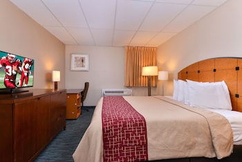 Business Room, 1 King Bed, Smoking