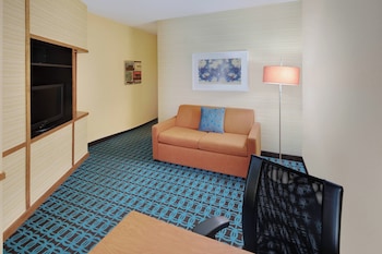 Executive Suite, 1 King Bed with Sofa bed
