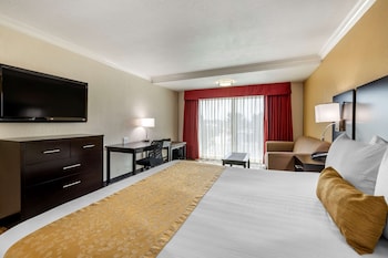 Studio Suite, 1 King Bed, Non Smoking, Refrigerator & Microwave